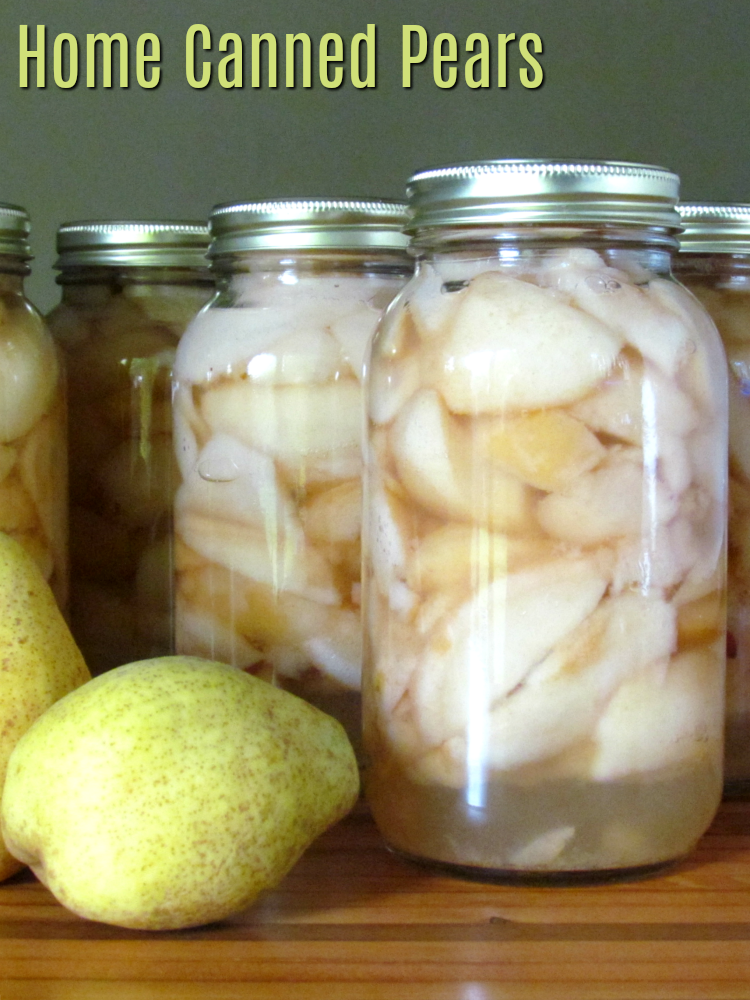 Everything You Need for Home Canned Pears Home Maid Simple