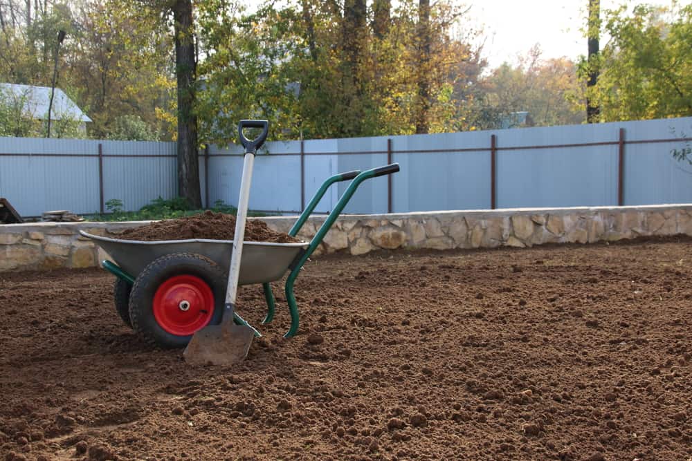 How Much Does It Cost To Remove Soil? (Full Breakdown)