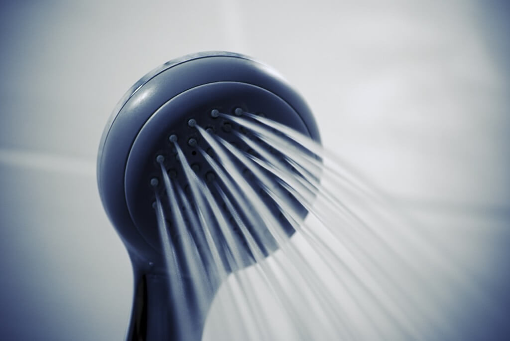 Do You Really Need A Shower Filter at Robert Nicholas blog