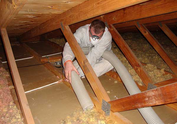 Best Way to Remove Old Insulation from Attic Home n