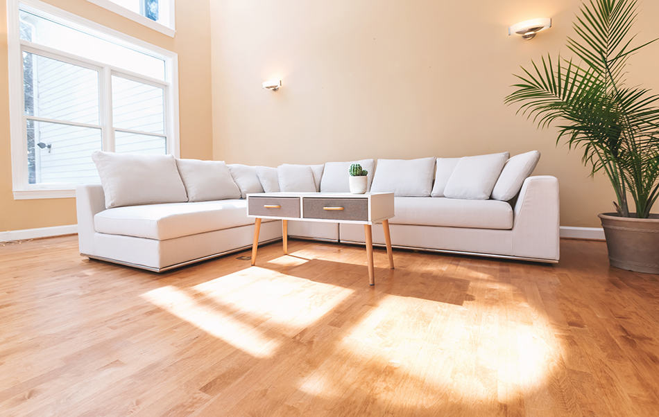 20 Different Types of Sofas & Couches Explained with Pictures Homenish
