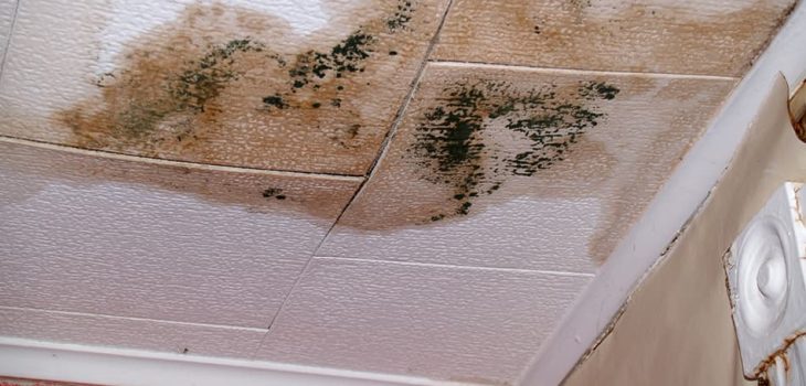 What Causes Yellow Stains On Ceiling Bangmuin Image Josh