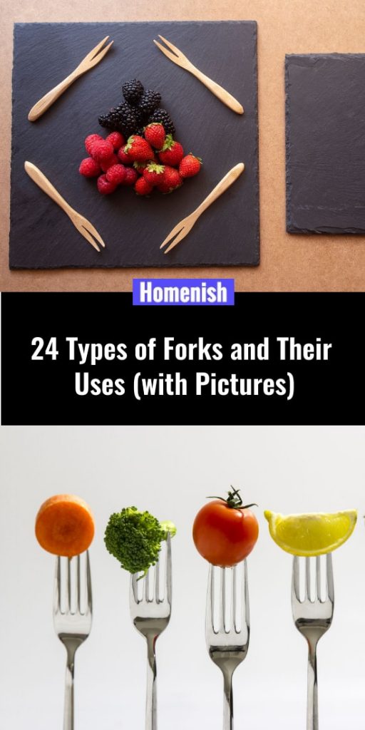 24 Types of Forks and Their Uses (with Pictures) Homenish