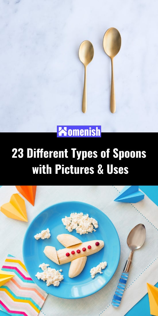 23 Different Types of Spoons with Pictures & Uses Homenish