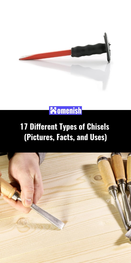 17 Different Types of Chisels (Pictures, Facts, and Uses) Homenish
