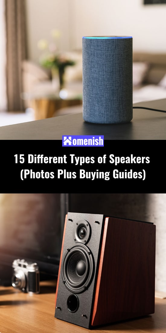 15 Different Types of Speakers (Photos Plus Buying Guides) Homenish