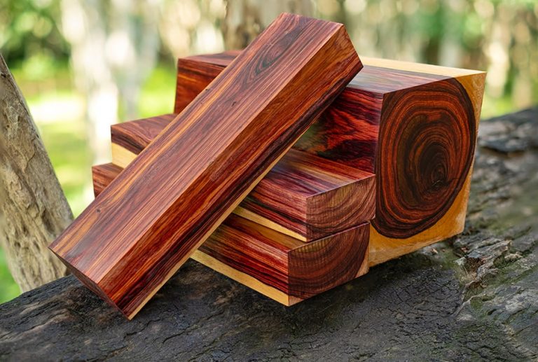 17 Most Expensive Wood Can You Name Them? Homenish