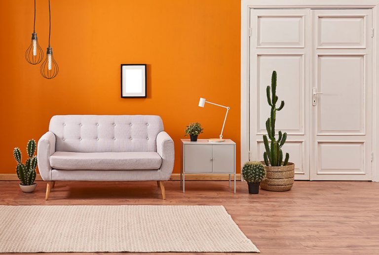 11 Excellent Colors that Go with Orange Homenish