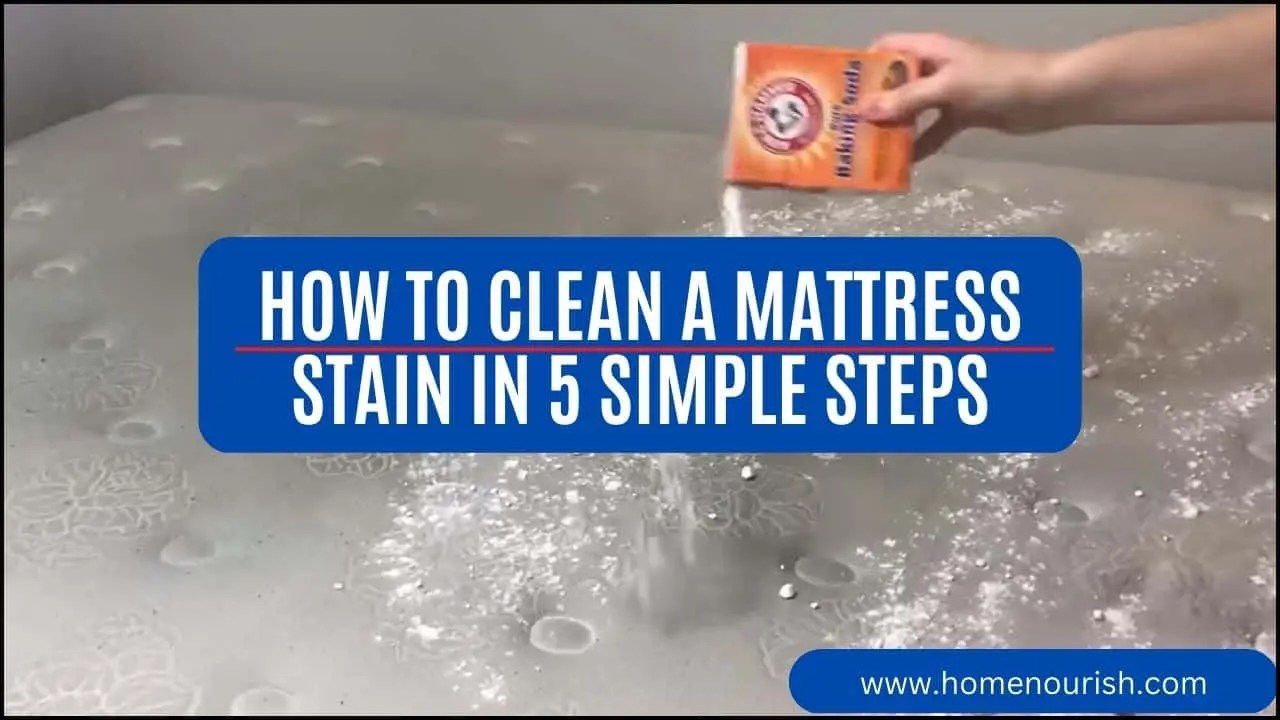 How to Clean a Mattress Stain in 5 Simple Steps Homenourish