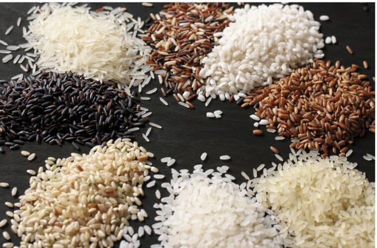 Exploring Rice One of the Most Versatile Foods in the World