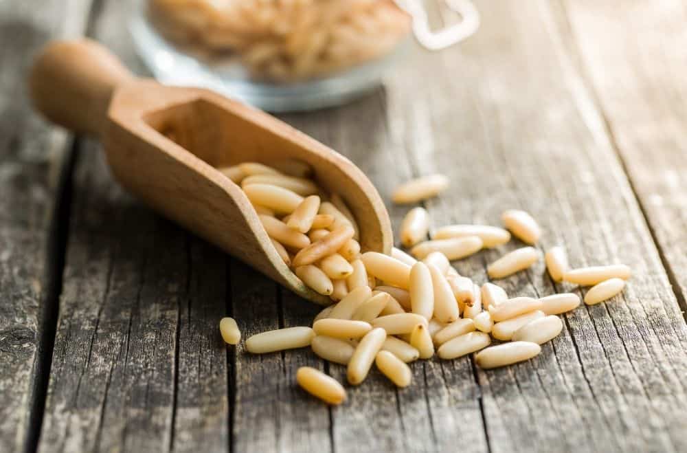 Pine Nuts Everything you ever wanted to know and more!