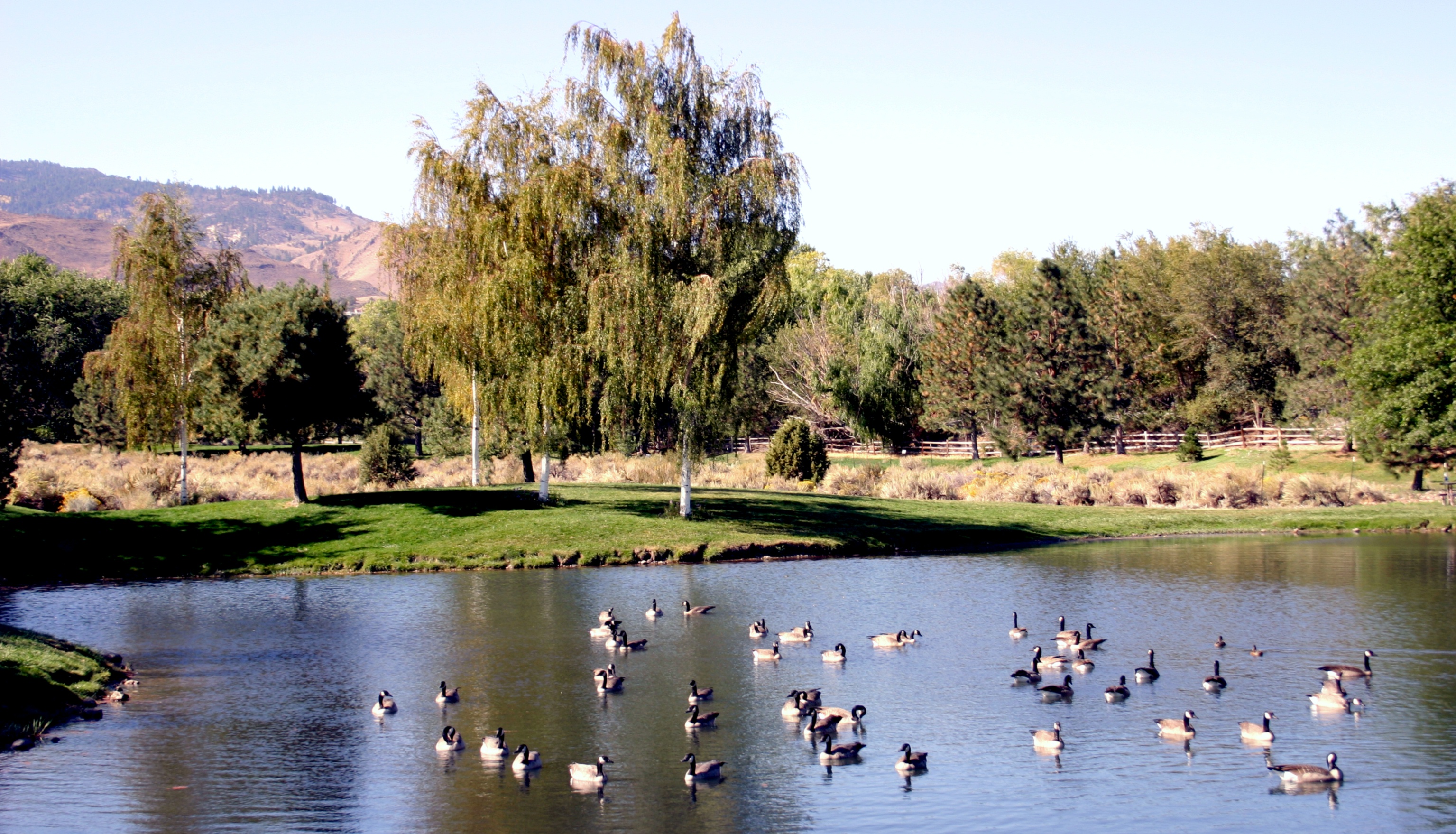 Caughlin Ranch Real Estate Reno Reno Real Estate