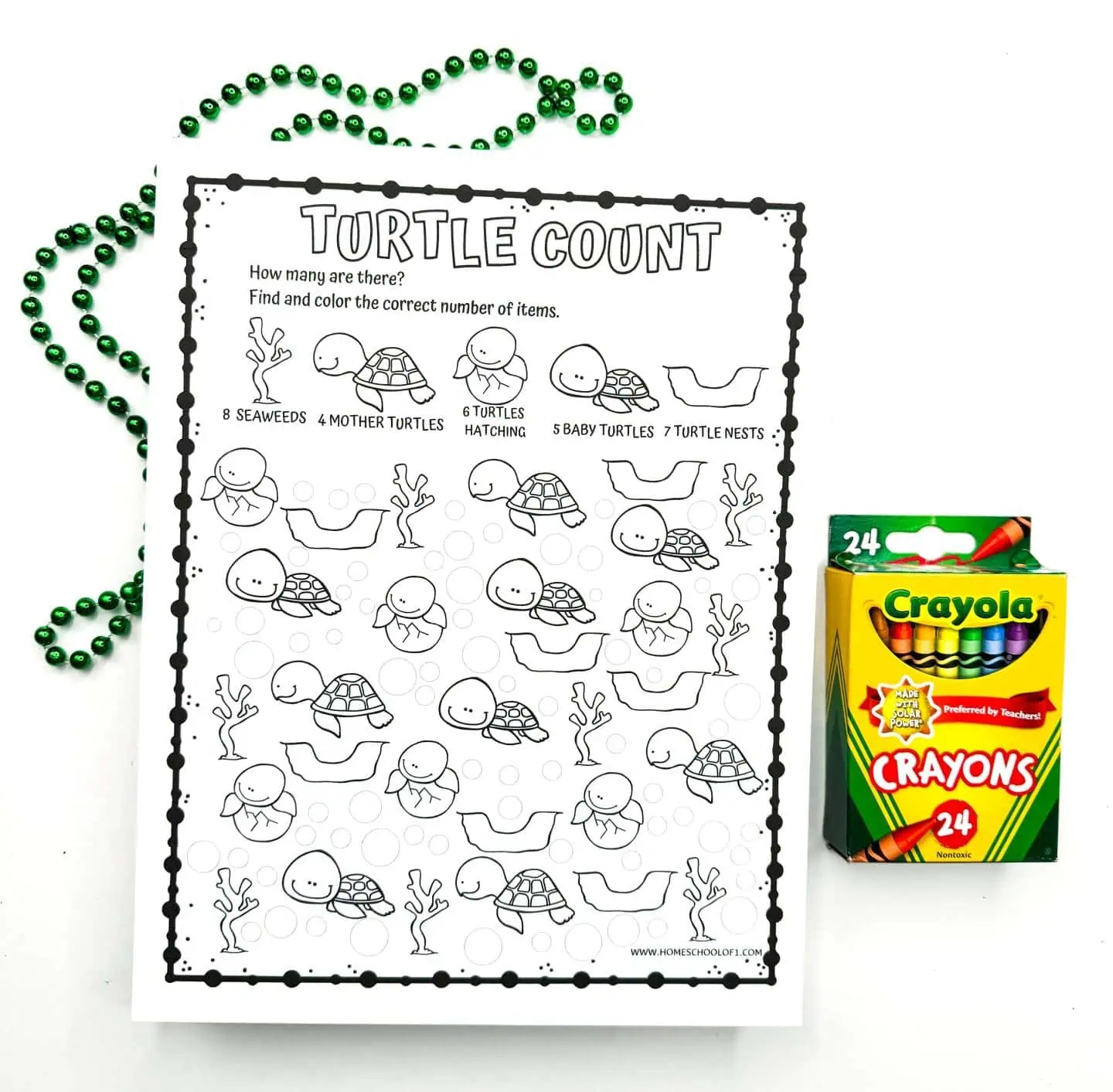 5 Free Turtle Math Worksheets for Preschoolers