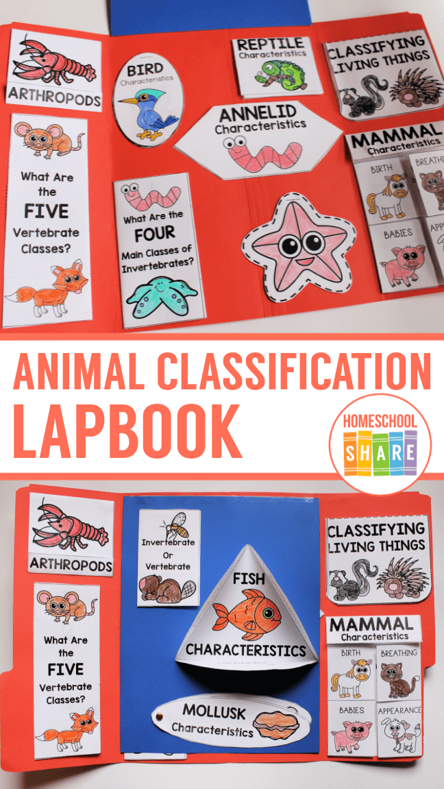 Animal Classification Lapbook Homeschool Share