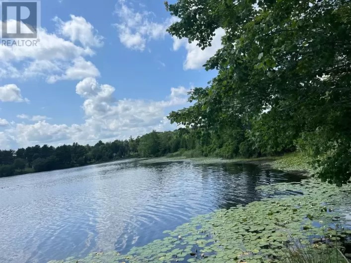 Masons Beach Real Estate NS Homes for Sale & Beach Houses HomesEh