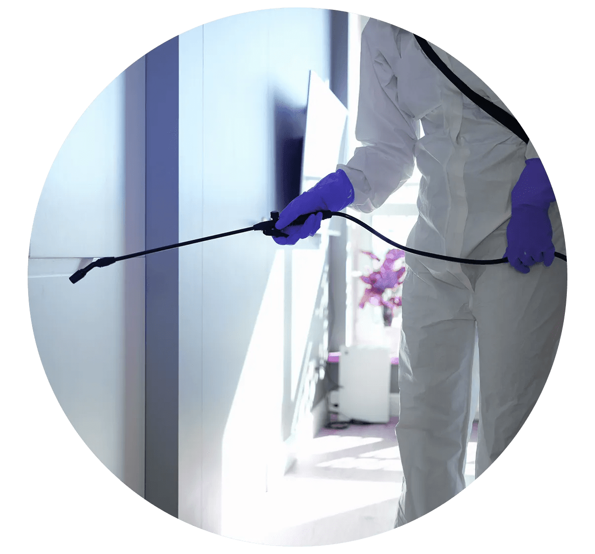 Pest Control Home Service Guide Pro