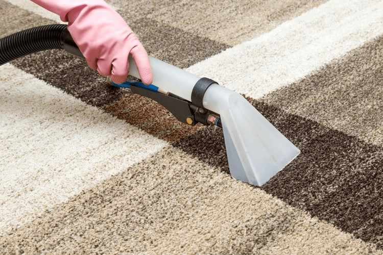 Some Quick Carpet Maintenance Tips and Tricks to Save Your Day! Home