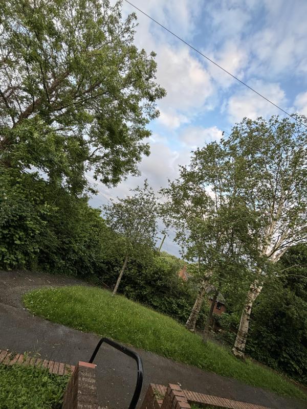 Homeswaps In Wrexham. Mutual Exchange Council House Exchanges In Wrexham