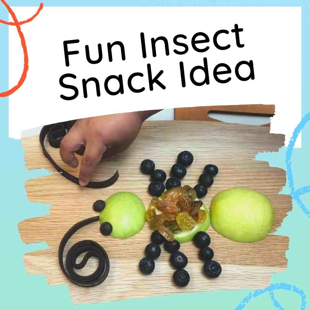 Insect Themed Food A Fun Bug Snack Idea for Kids to Make Healthy