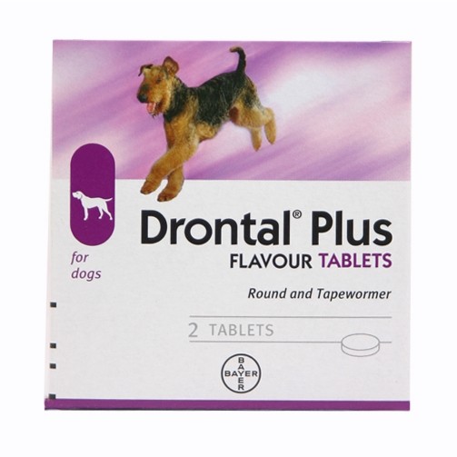 Drontal plus for dogs (per tablet) Homevet