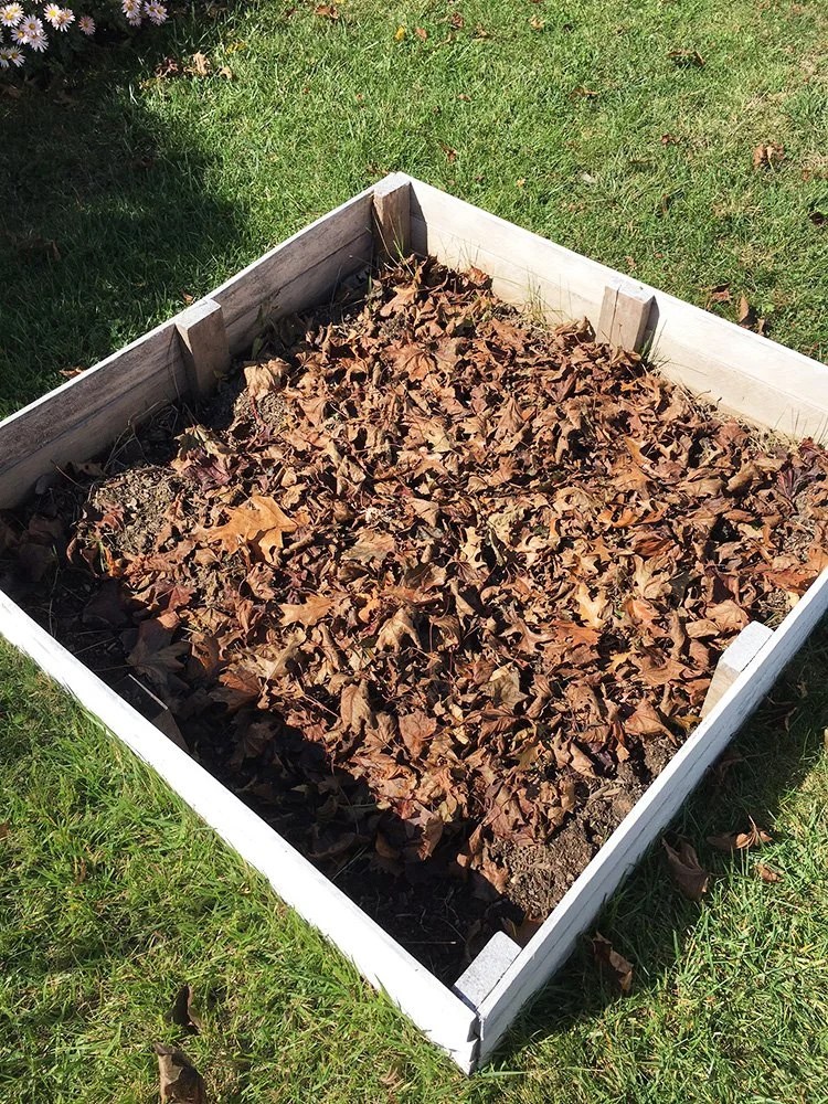 compost bed for Honestly Modern
