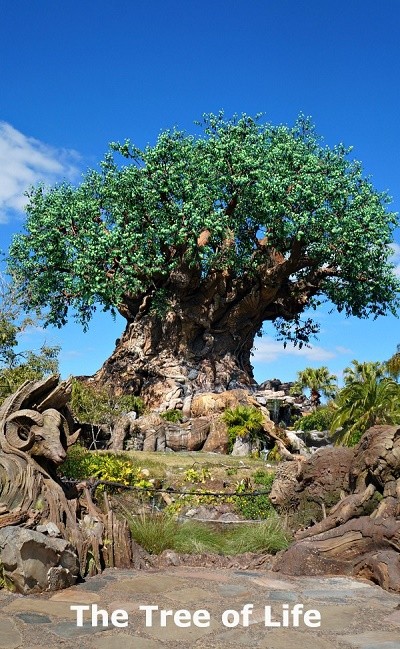 Top 10 Best Attractions at Disney's Animal Kingdom Park