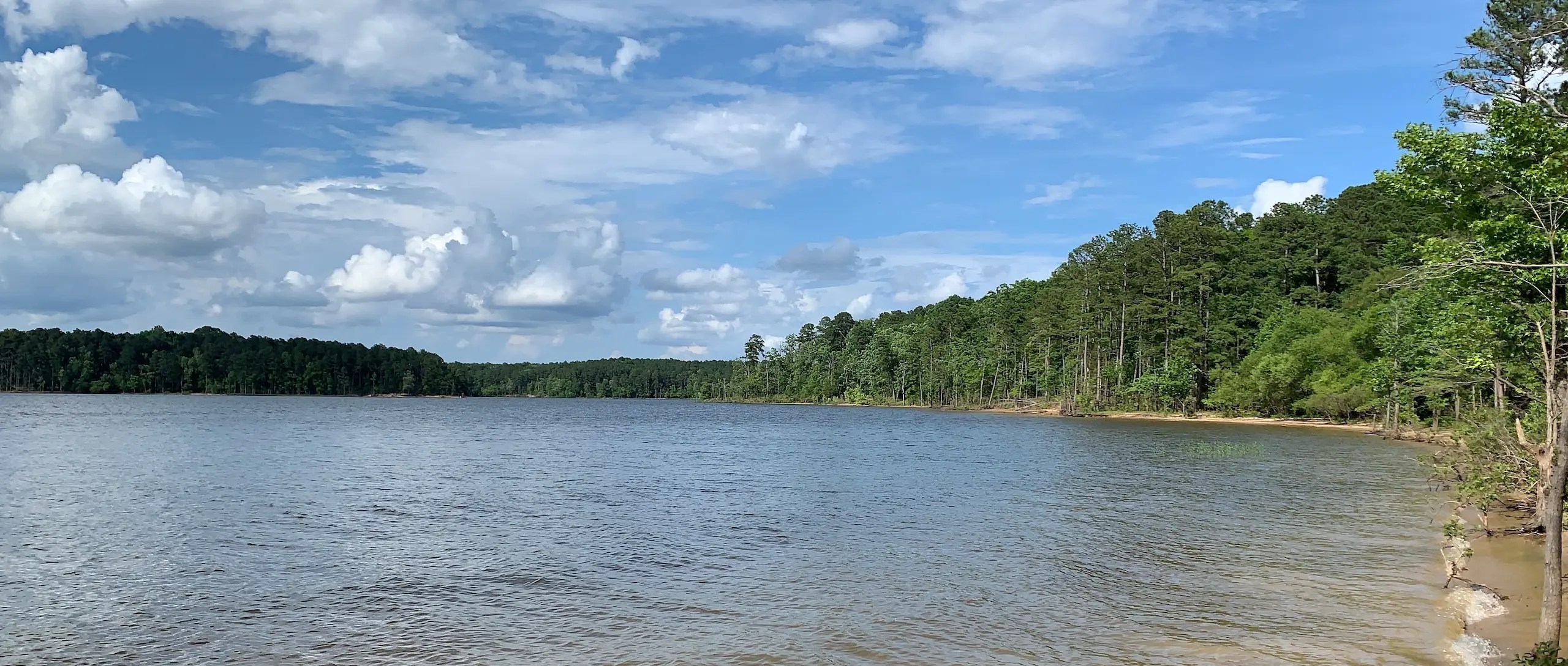 Wake Forest Real Estate Homes for sale in North Carolina The