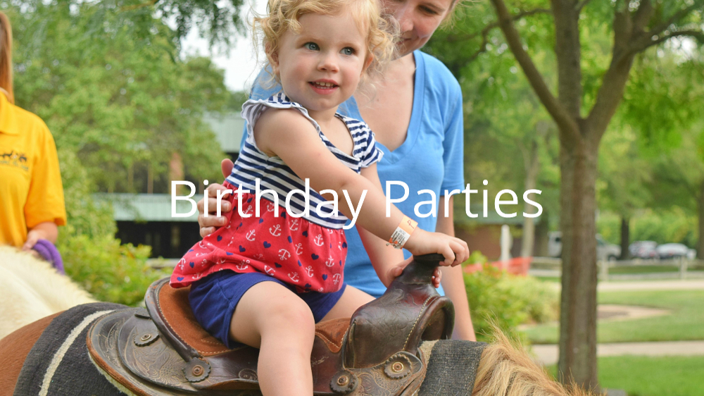 Petting Zoos and Pony Rides for Birthday Parties