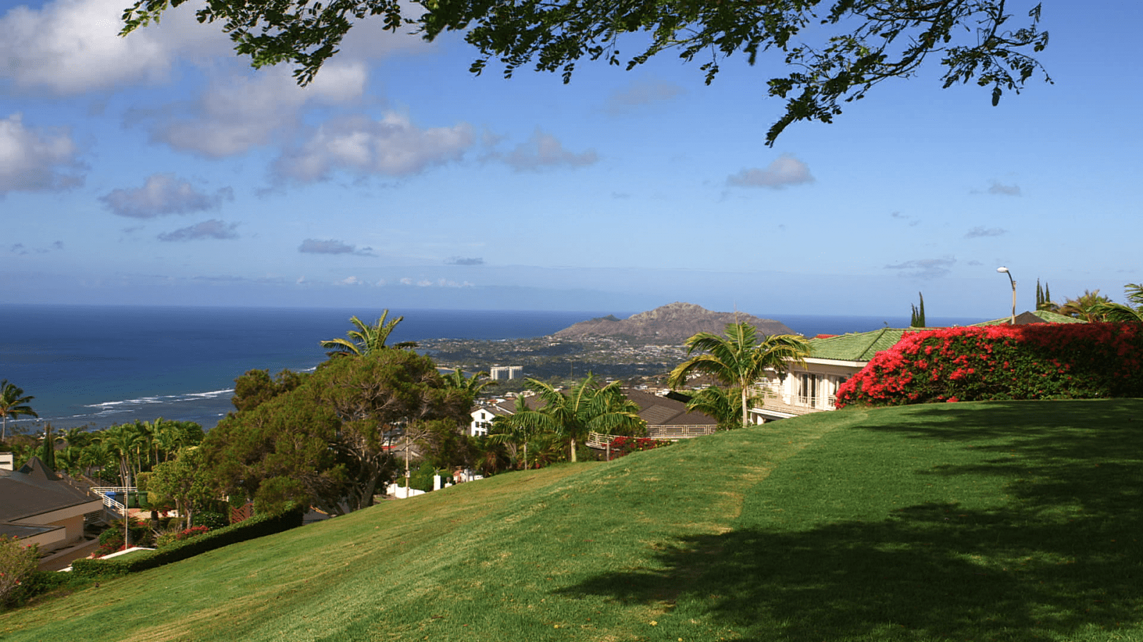 Neighborhood of the Month Hawai‘i Loa Ridge