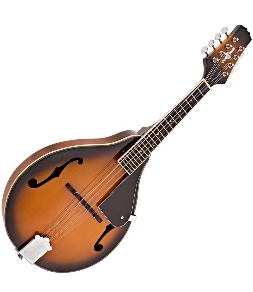 Honolulu Music Lessons Mandolin Lessons