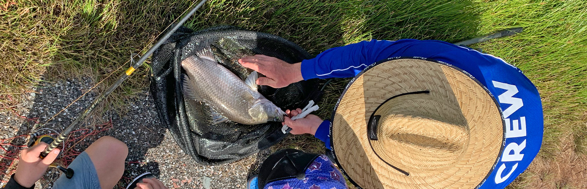 Barramundi Farm and Fishing Tours HookABarra Daintree