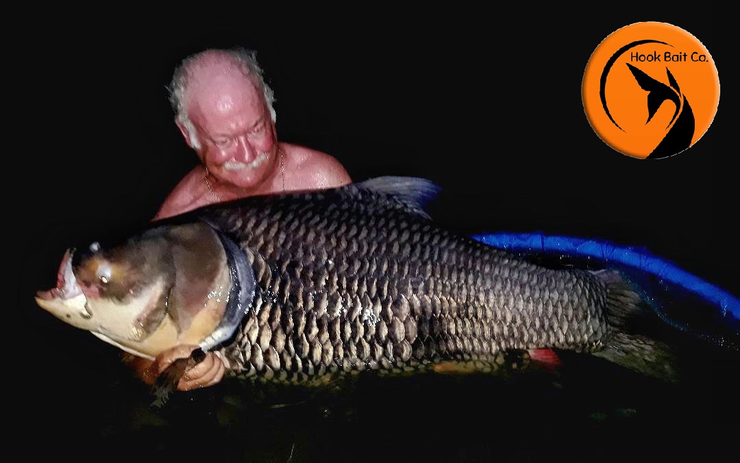 Catfish Pro The Hook Bait Company Specialist Baits for Wels Catfish