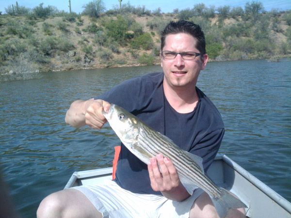 Lake Pleasant Stripper HookedAZ Arizona Fishing Community