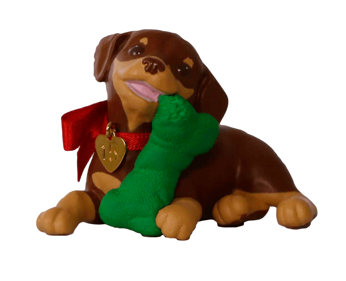 2015 Puppy Love Hallmark Keepsake Ornament Hooked on Hallmark Ornaments