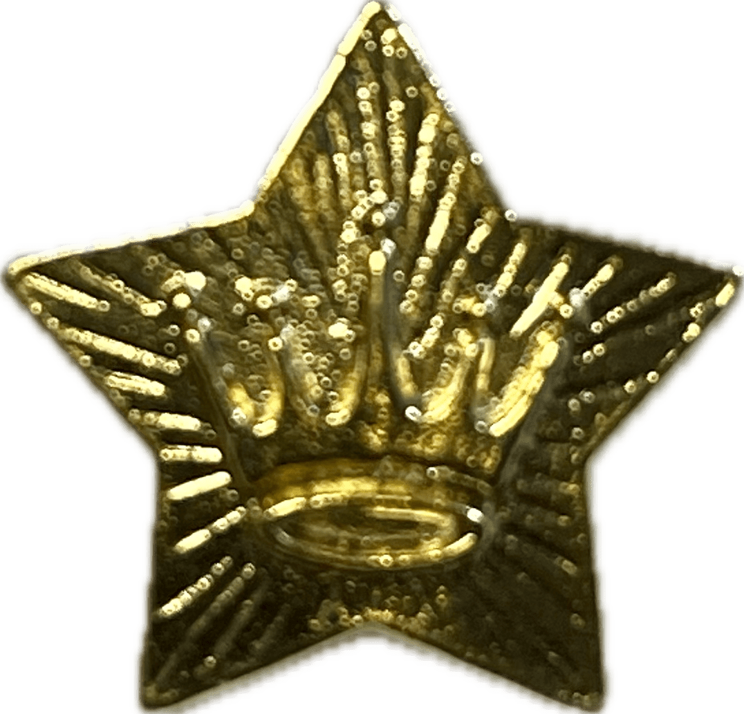 Hallmark GOLD CROWN LOGO LAPEL PIN at Hooked on Ornaments