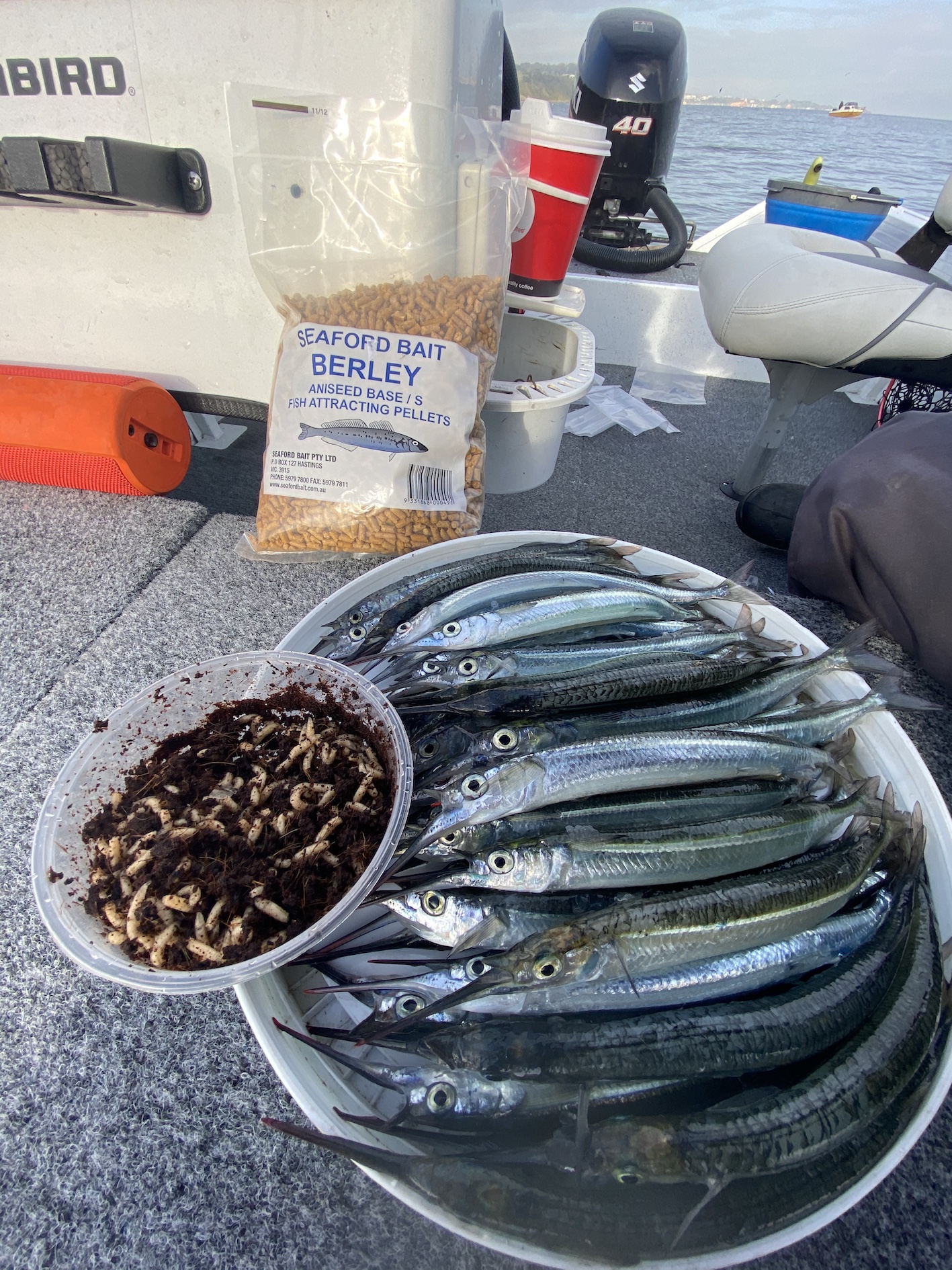 How To Catch Garfish