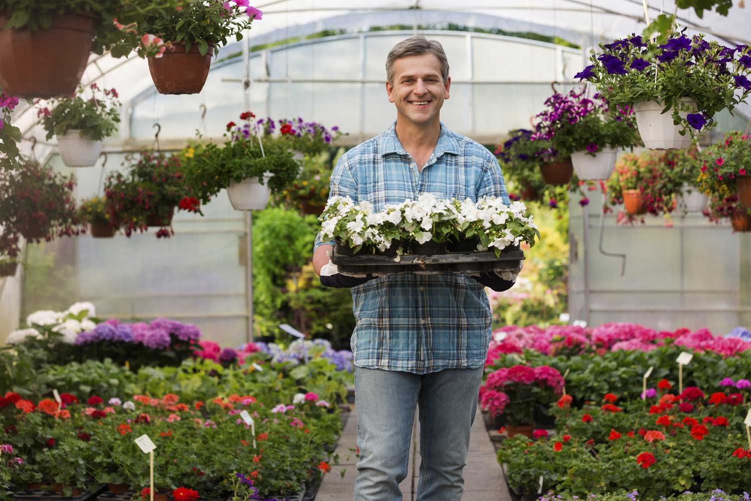 Greenhouse S Hooks at Cassandra Garland blog