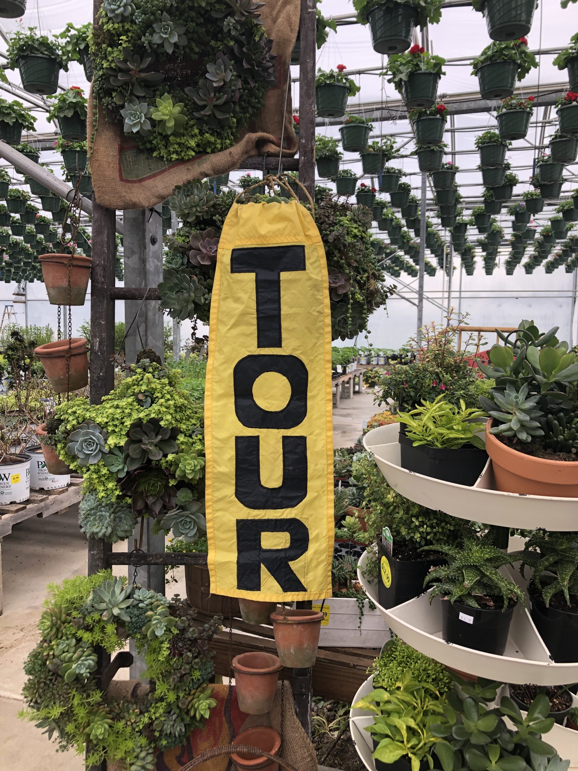 The 2019 Bag Lady Tour is coming up! Hook's Greenhouse