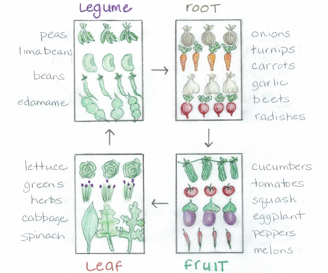 The Basics of Crop Rotation - Hook's Greenhouse