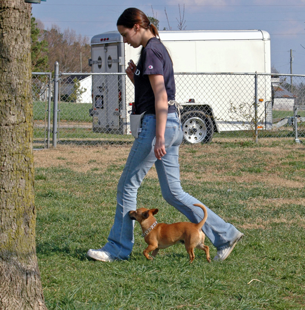 Hook's K9 Training Boot Camp