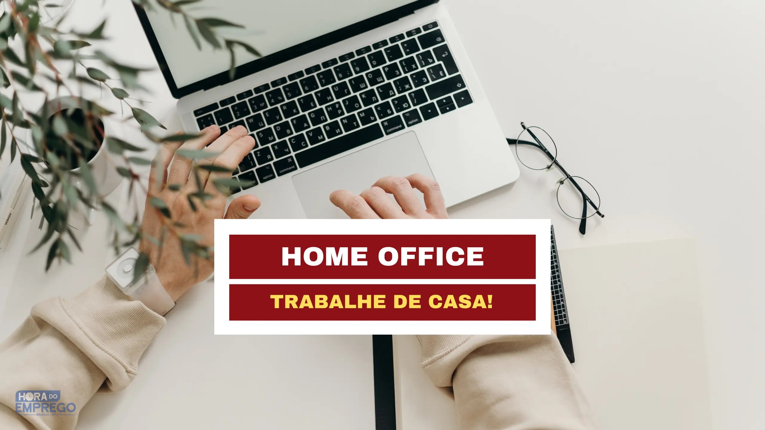 Schein Brasil abre vagas HOME OFFICE Para profissionais Trabalhar em