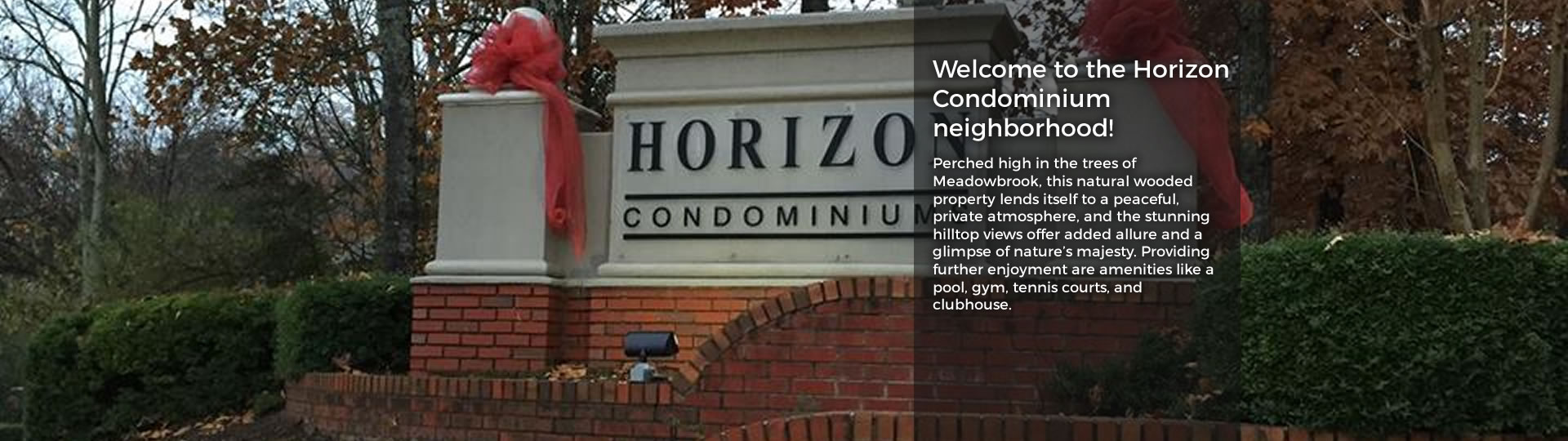 Horizon Condominiums