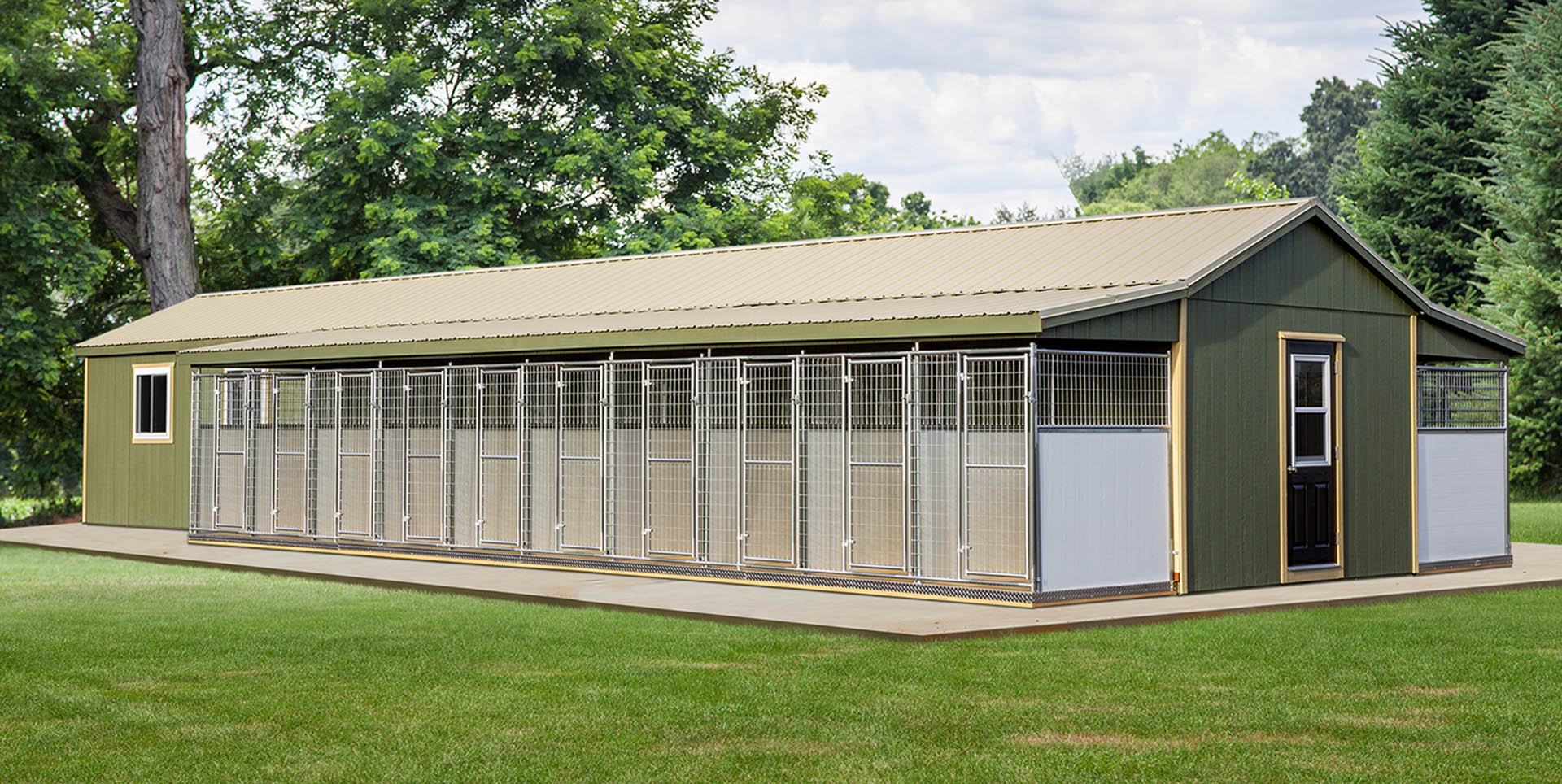 Dog and Pet Boarding Kennel Business Woes and Solutions