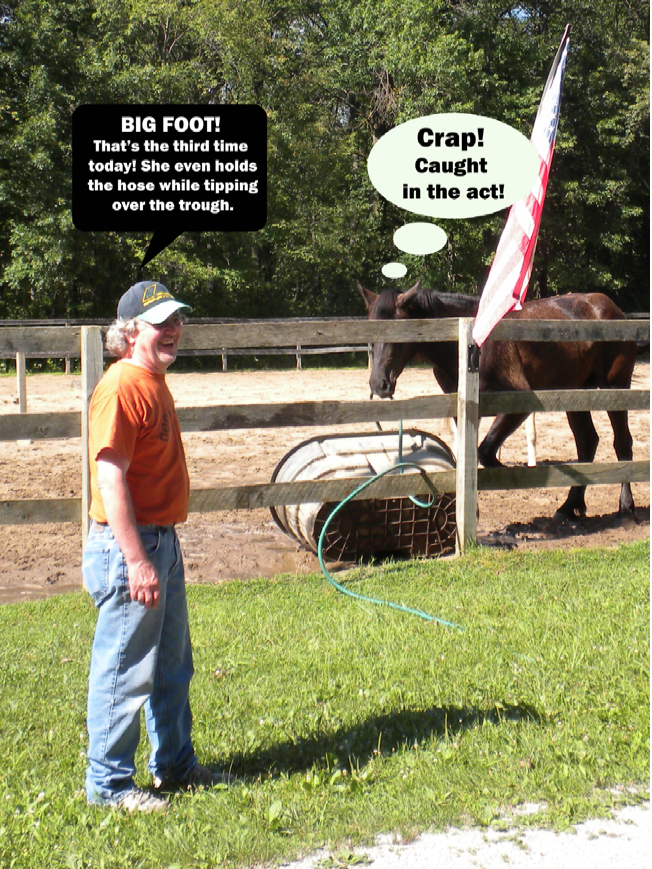 trough Horse and Man