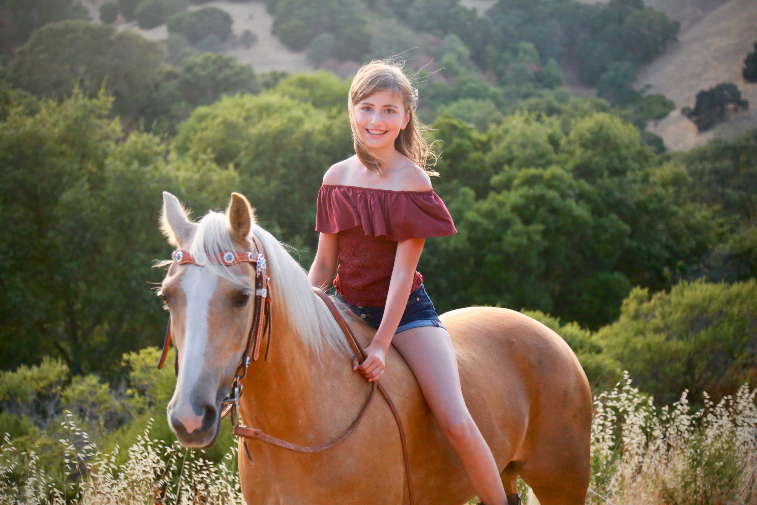 Home Horse and Rider Connection