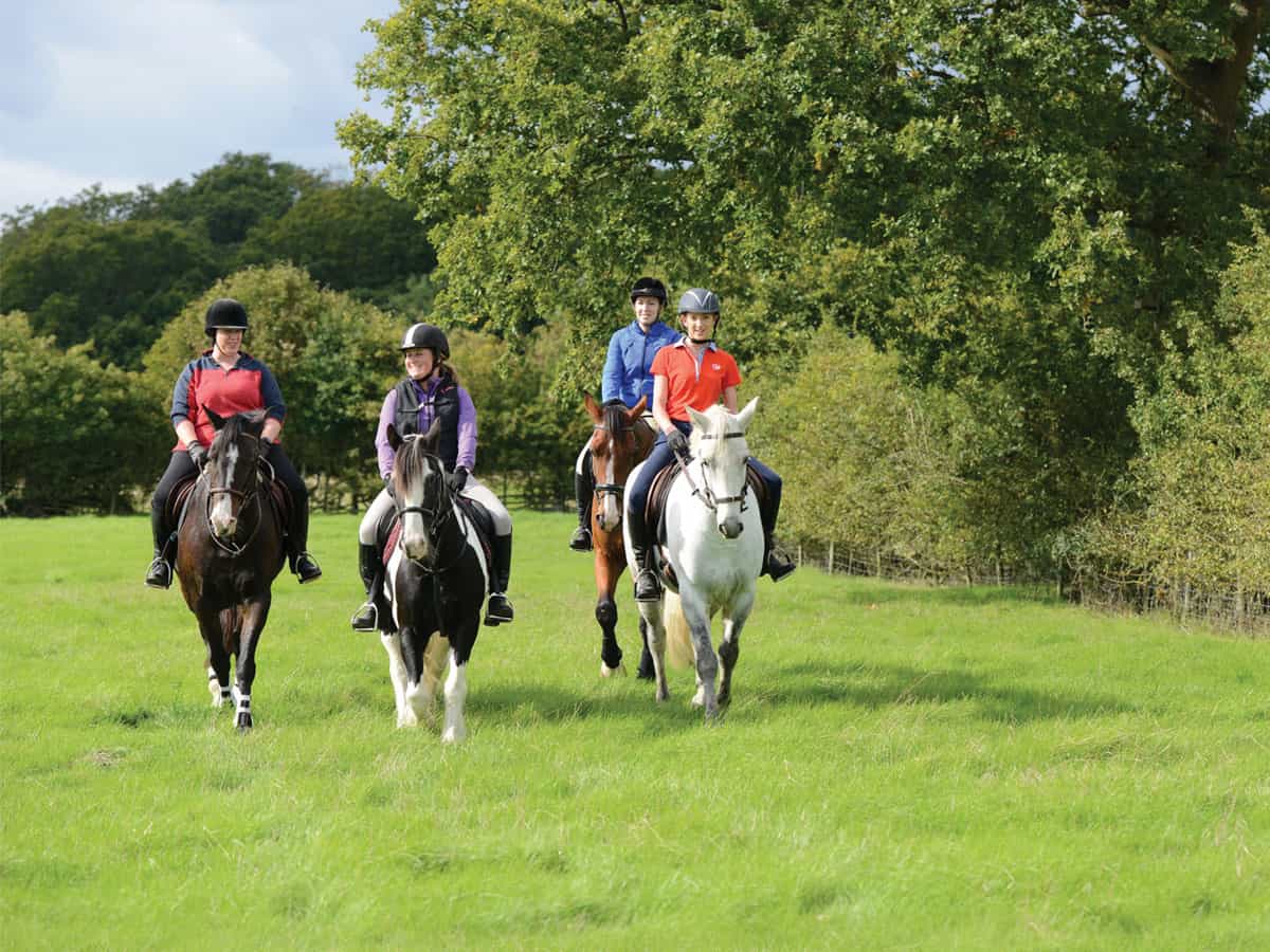 Choosing a livery yard Horse and Rider