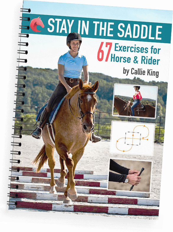 Stay In The Saddle (2) HorseClass