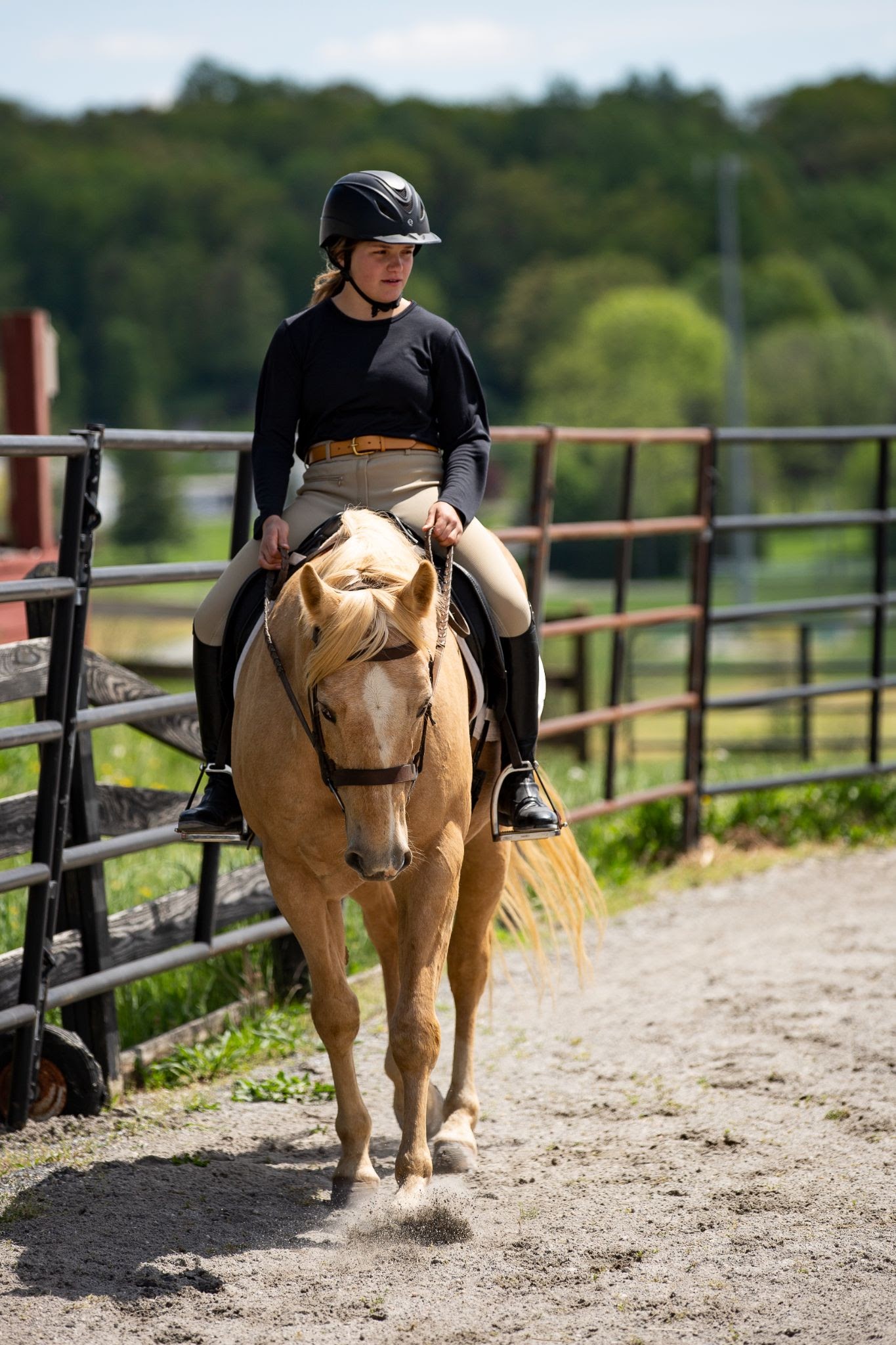 Honey Brook Stables Instructors HorseClass