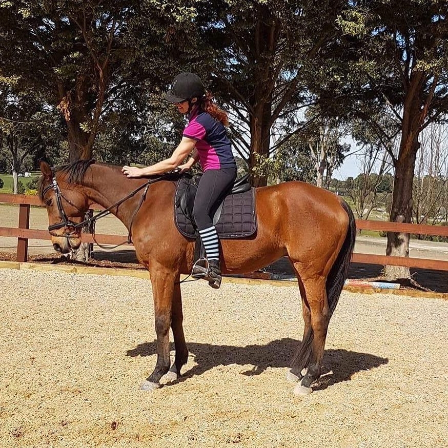 Chase’s Case of Australian Stringhalt HorseDVM