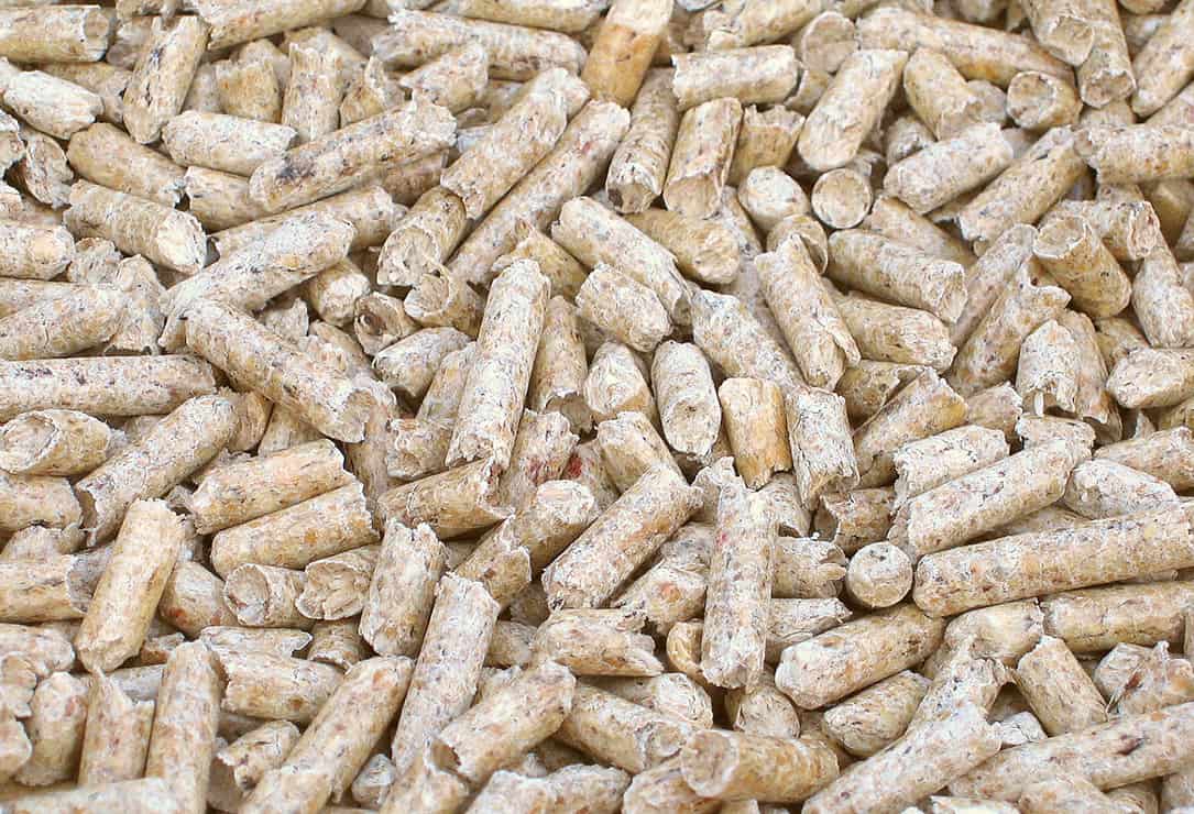Common Types Of Feed What You Should Feed Your Horse & How Much